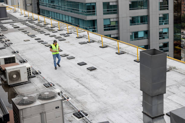 Best Skylight Installation and Repair  in Prophetstown, IL