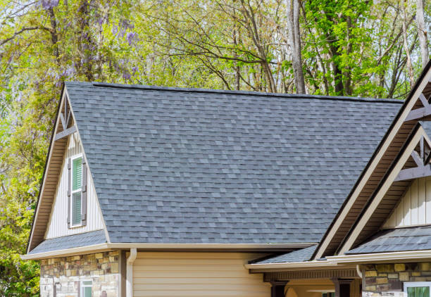 Best Gutter Installation and Repair  in Prophetstown, IL